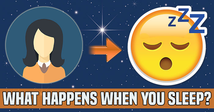 what-happens-when-you-sleep-quiz